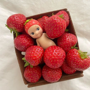 Meet your Posher, Rose